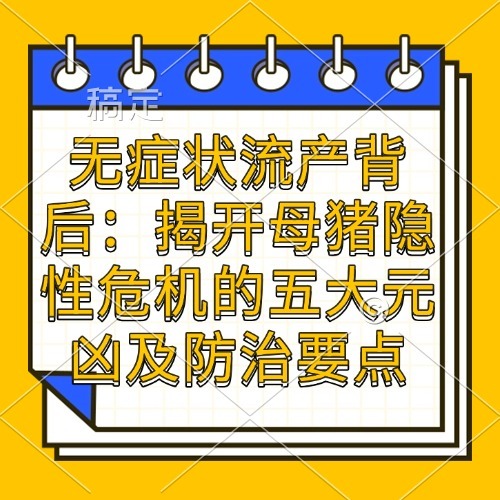 无症状流产背后：揭开母猪隐性危机的五大元凶及防治要点