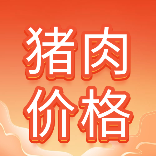 2026年2月13日全国各省市猪白条肉价格行情走势
