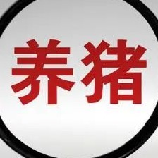 不抑制龙头、不放任散户！一文读懂头部猪企产能备案，为何是行业精准调控的关键？