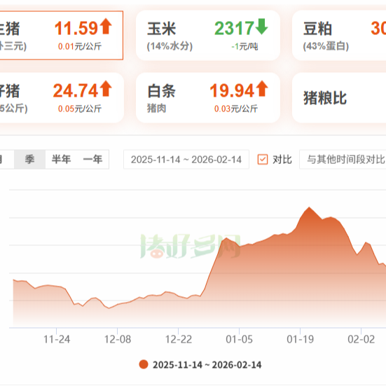 2026年2月14日全国各省市白条猪肉批发均价报价表，年前备货陆续收尾，猪肉价格再涨可能不大？