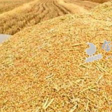 重磅展望！2026年全球动物蛋白14大机遇与挑战