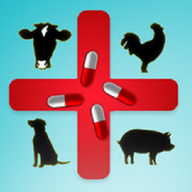 2025年，哪几种猪病最令养猪人头疼？最新流行病学数据揭秘！