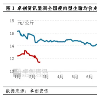 春节前猪价下滑，生猪供应充足年后恐依旧难以支撑！