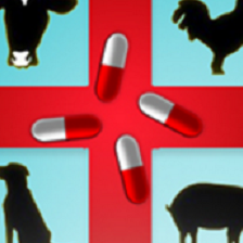 同样是维生素D，为啥25 - 羟基维生素D3能改善猪只步态？试验给出答案