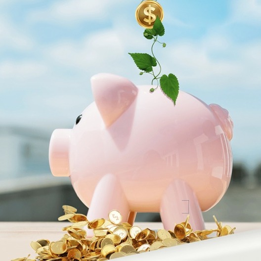 仔猪价格疯涨 2026生猪价格预测及市场前景研判