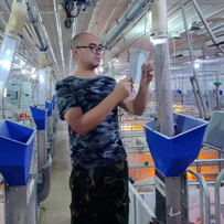 规模化猪场生产管理八类高频问题与解答之六（生产流程与记录管理）