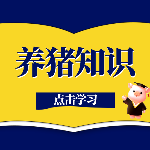 猪呼吸困难别乱治！元凶可能是寄生虫！