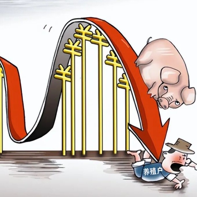 2月25日猪价：节后猪肉价格回落，生猪价格猛跌，仔猪也被拖累？