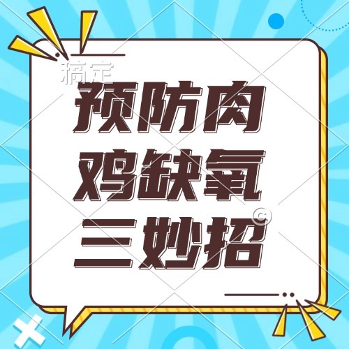 预防肉鸡缺氧三妙招