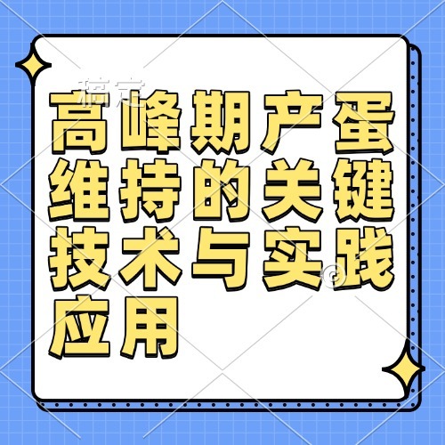 高峰期产蛋维持的关键技术与实践应用