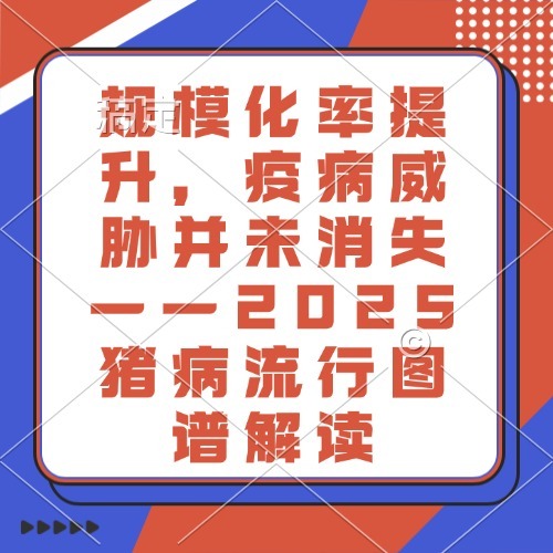 规模化率提升，疫病威胁并未消失&mdash;&mdash;2025猪病流行图谱解读