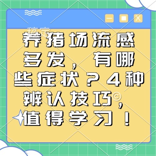 养猪场流感多发，有哪些症状？4种辨认技巧，值得学习！