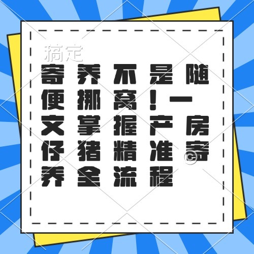 寄养不是随便挪窝！一文掌握产房仔猪精准寄养全流程