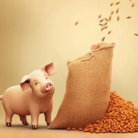 蓝耳病防疫不理想，到底要不要换疫苗？