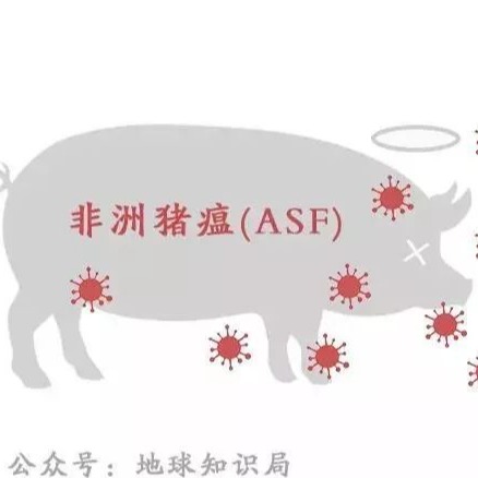 精准发力生物安全，全方位促进疾病防控升级