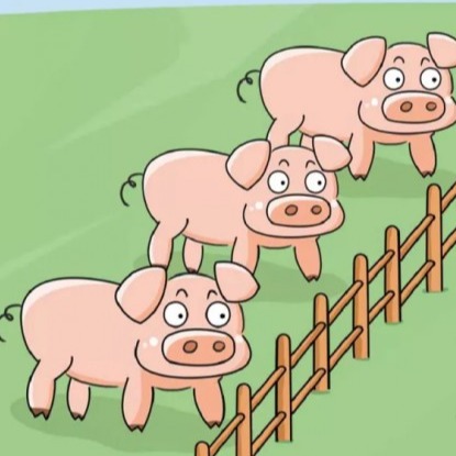 如何通过繁殖管理提高猪场繁殖效率：从母猪到仔猪的全链条优化策略