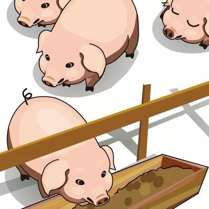 猪急性猝死类高发疾病鉴别与防控技术规范