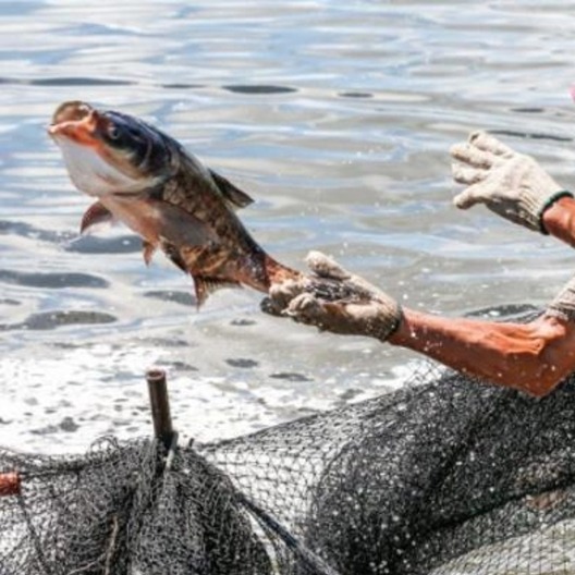 冬季怎样提高养鱼效益