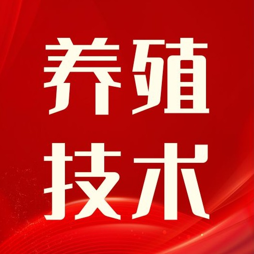 一眼辨病：从被毛、皮肤看懂猪健康，新手也能上手
