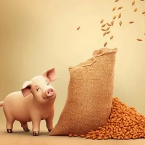 别让跛行拖垮公猪！十大诱因 + 实用防治方案来了