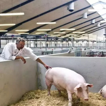 非洲猪瘟病毒核酸清除的操作手册