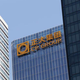 劲马逐光&bull;迎新春&mdash;&mdash;【活力四季&middot;骏驰人生】正大集团新疆区2026年度员工体育文化运动联赛2月赛成功举