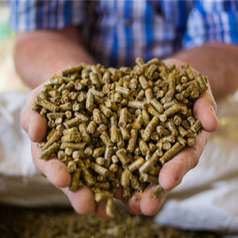 浓缩料与预混料如何使用