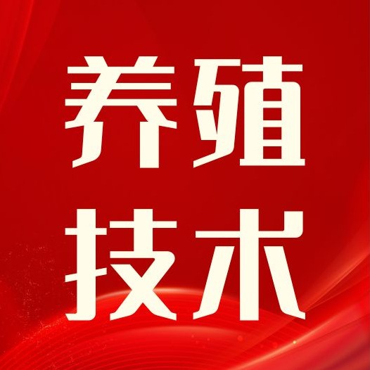 警惕！猪四肢僵硬、抽搐、麻痹，可能是传染性脑脊髓炎