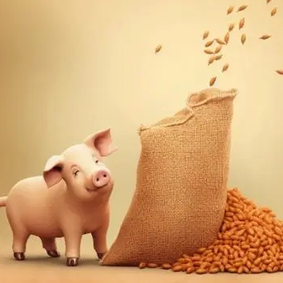 母猪流产别乱处理！这样做，损失少一半