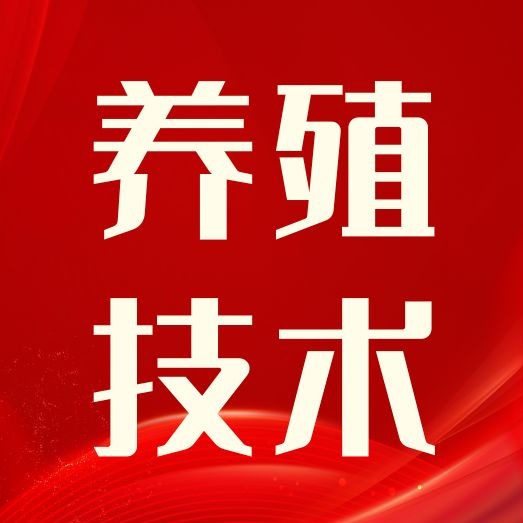 从断奶到排卵7天全解析！母猪生殖系统的&ldquo;激素接力赛&rdquo;