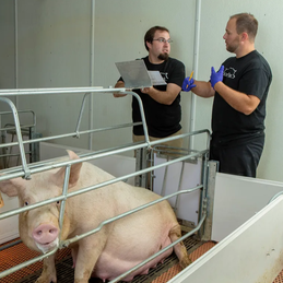 2026年3月猪禽牛羊动物疫病预警预报