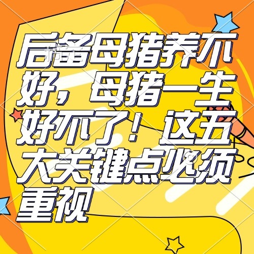 后备母猪养不好，母猪一生好不了！这五大关键点必须重视