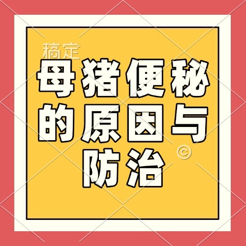 母猪便秘的原因与防治