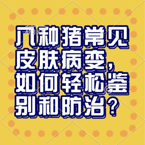 八种猪常见皮肤病变，如何轻松鉴别和防治？