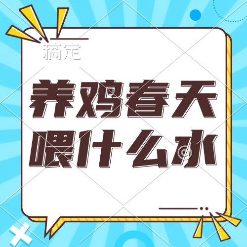 养鸡春天喂什么水