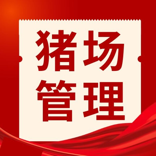 仔猪长得慢？六大误区要避开，养好仔猪多赚钱！