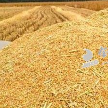 中东大战，对猪场老板有哪些影响？