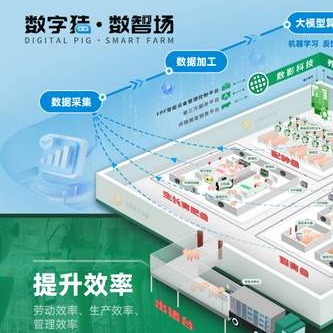 新建猪场必看：决定成败的不是资金，而是气候系统与规划设计