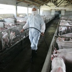 微量元素要如何正确的应用