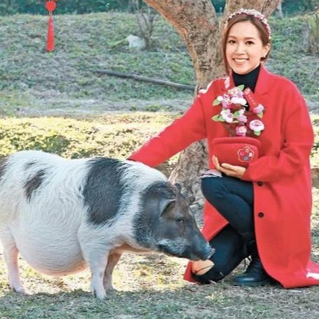 初春生猪养殖注意事项