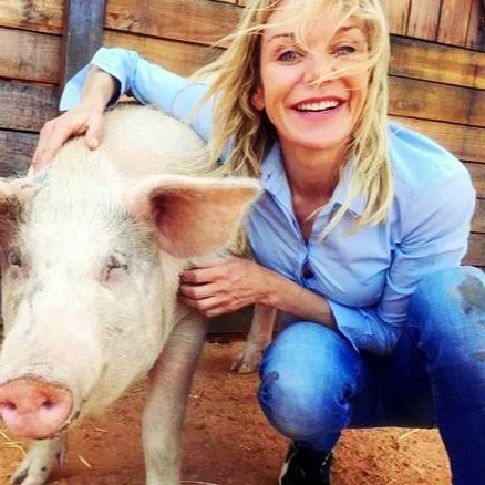 春季养猪，这4个&ldquo;温柔陷阱&rdquo;要避开