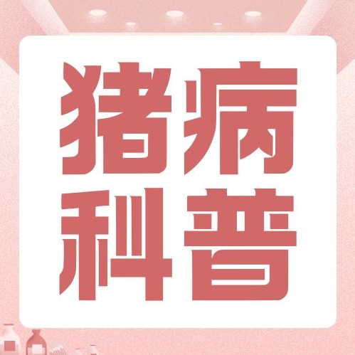 母猪难产、便秘、缺乳、不发情等常见问题与防治方案