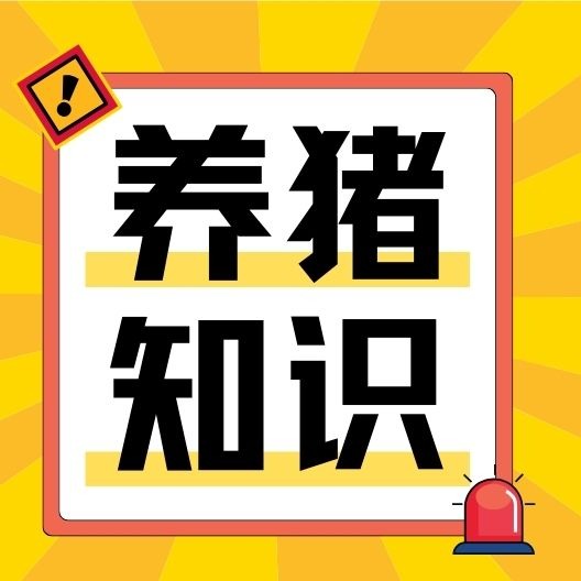 新生仔猪腹泻高发！从母猪、环境到用药，完整方案一次讲清
