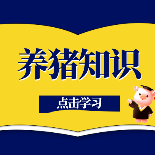 猪咳嗽喘气扎堆爆发！一文读懂中西协同清肺治喘方案