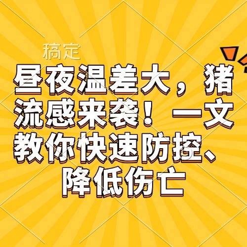 昼夜温差大，猪流感来袭！一文教你快速防控、降低伤亡