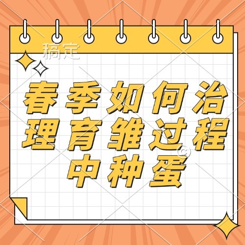 春季如何治理育雏过程中种蛋