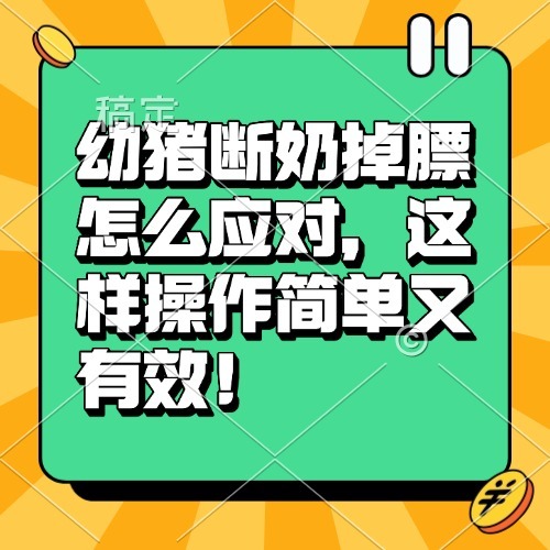 幼猪断奶掉膘怎么应对，这样操作简单又有效！