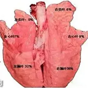 猪支原体肺炎综合防控措施
