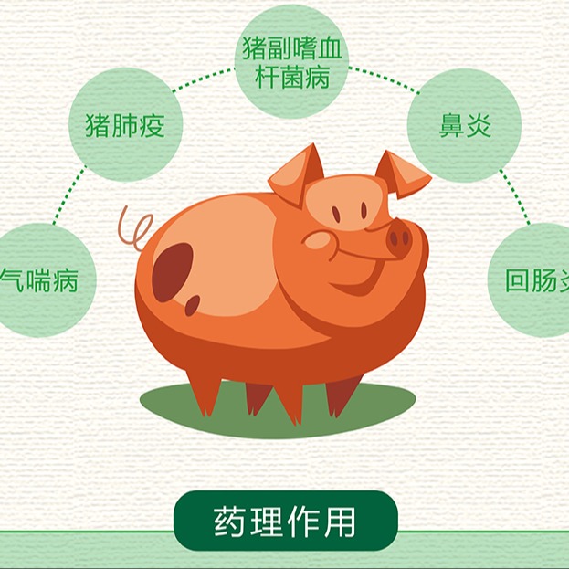 替米考星对不同猪病的作用