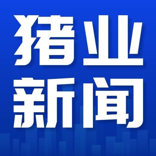 政策转向！1.2万亿贷款不支持生猪扩产，中小养殖户迎来新机遇？